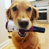 ZinfanTail Fish Oil + Bone Health Dog Wine Liquid Supplement
