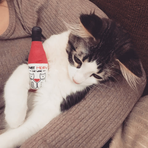 Pinot Meow + Moscato Catnip Plush Pawty Cat Wines