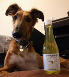 Chardognay Fish Oil + Bone Health Dog Wine Liquid Supplement